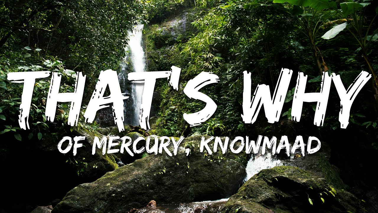 of Mercury - That's Why (Lyrics) feat. knōwmaad