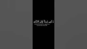 استمع للقرآن اجر - لي -ولك ❤️ سوره العنكبوت