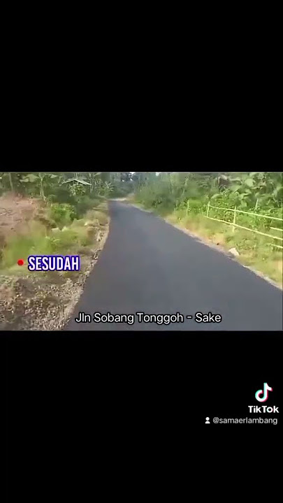 Gas terus besty