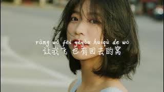 【就是爱你-yihuik苡慧】JIU SHI AI NI-YIHUIK YI HUI /TIKTOK,抖音,틱톡/Pinyin Lyrics, 拼音歌词, 병음가사/No AD, 无广告, 광고없음