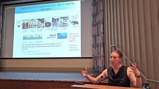 Kim Popendorf, Rosenstiel: Microbial Biogeochemistry