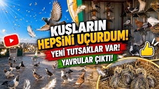 Bol Tutsakli Bi̇r Hafta Neler Geldi̇ ?