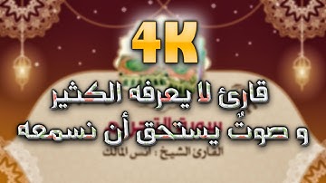 تلاوة هادئة و خاشعة | سورة التحريم - القارئ الشيخ أنس المالك | إصدار عالي الجودة 4K