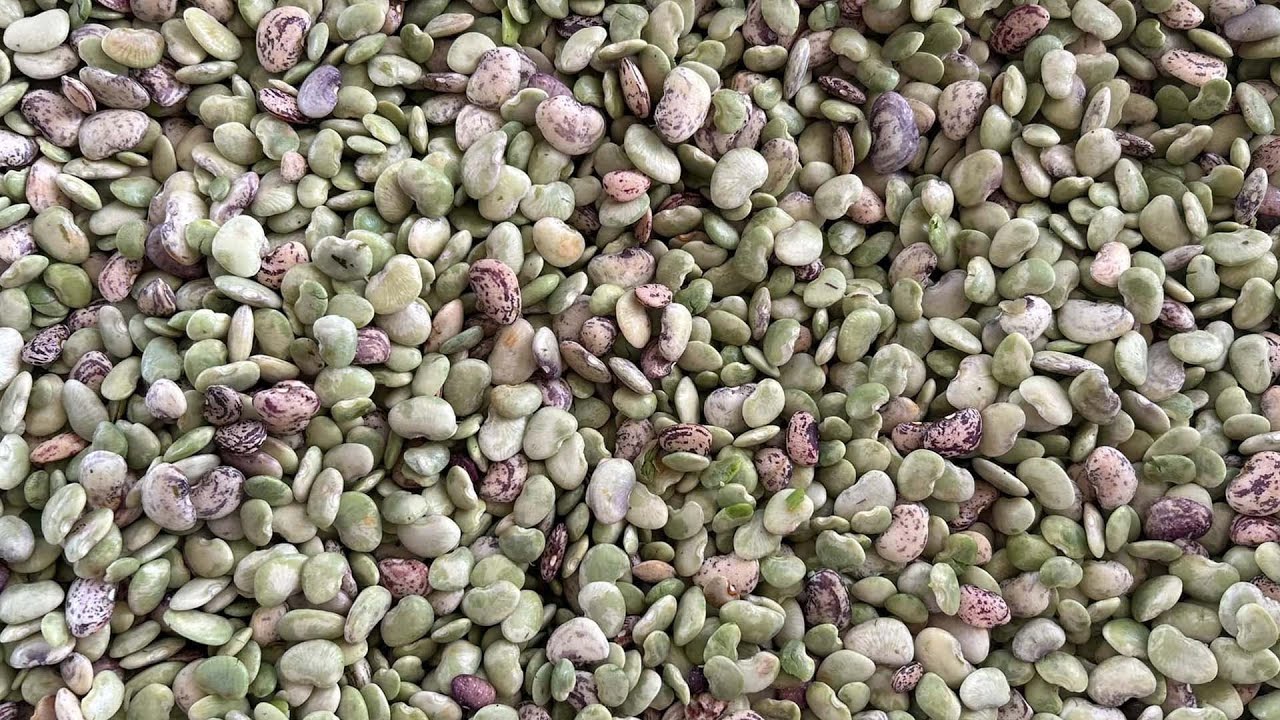 Butter Beans and Peas | Making It Grow