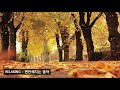 가을에 듣기 좋은 세미클래식모음 BEST 편안한 음악클래식 음악️🎵 Relaxing Music️🎵