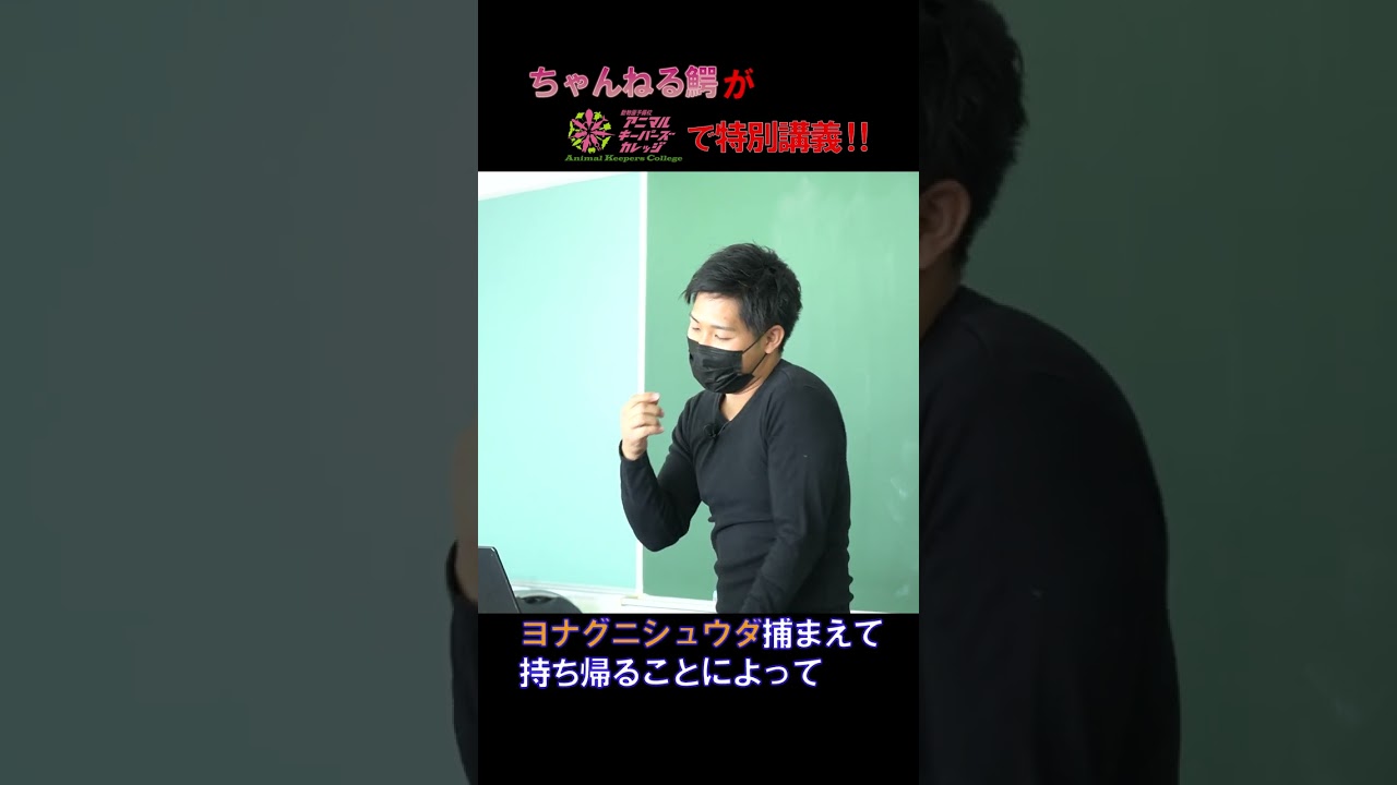 ちゃんねる 鰐 炎上