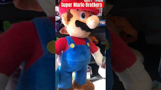 Super Mario Brothers Mario & Luigi