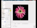 Photoscape Основные функции, инструменты, фильтры