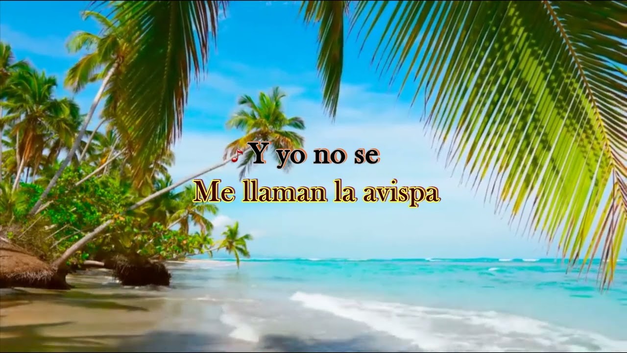 El Churro # 2 Los Hermanos Flores Version Karaoke