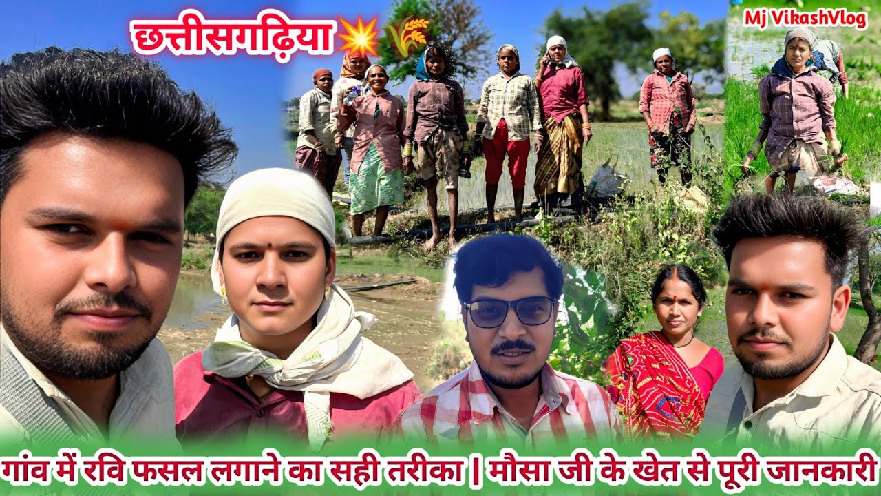 गांव में रवि फसल लगाने का सही तरीका | मौसा जी के खेत से पूरी जानकारी