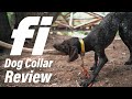 Fi Dog Collar Review | Why I Chose A GPS Dog Collar