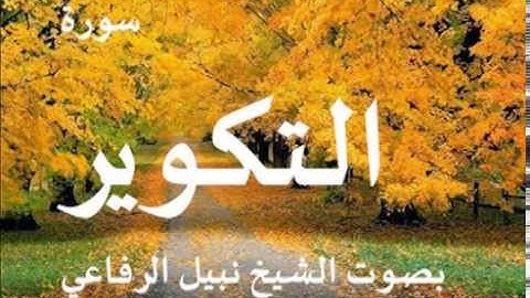 سورة التكوير بصوت الشيخ / نبيل الرفاعي 81