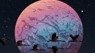 Celebrity Sphere lights, flock of wild geese that lost their way Profile
