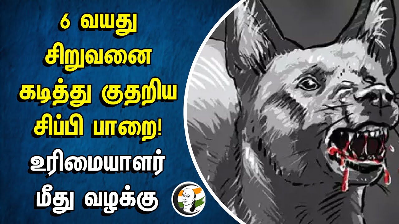 6 வயது சிறுவனை கடித்து குதறிய சிப்பி பாறை! உரிமையாளர் மீது வழக்கு | Chennai | Dog