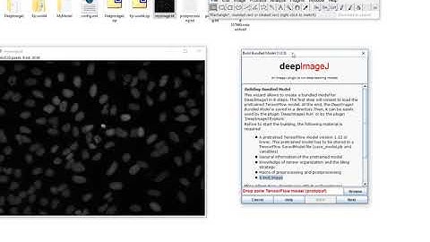 DeepImageJ build bundled model and run tutorial # version 1.0