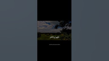 تلاوة في قمة الجمال والهدوء بصوت القارئ #المنشاوي