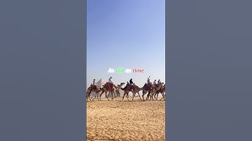 Lenka - Everything At Once (lyrics)- Aesthetic Edit (2nd video is : Instagram : @shoot_thismoment)