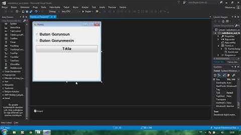 C# Windows Form RadioButon ve Timer kullanımı
