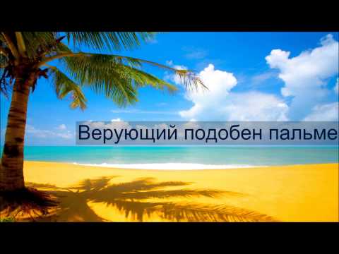 Абу Яхья Крымский: Верующий подобен пальме