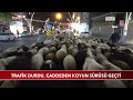 Tokat'ta Trafik Durdu, Caddeden Koyun Sürüsü Geçti