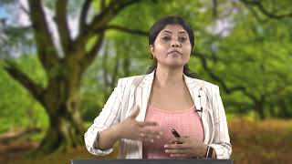 LECTURE 58: EIA CASE STUDY Â€“ MUMBAI METRO LINE 3, COLABA - BANDRA - SEEPZ #CH29SP #swayamprabha