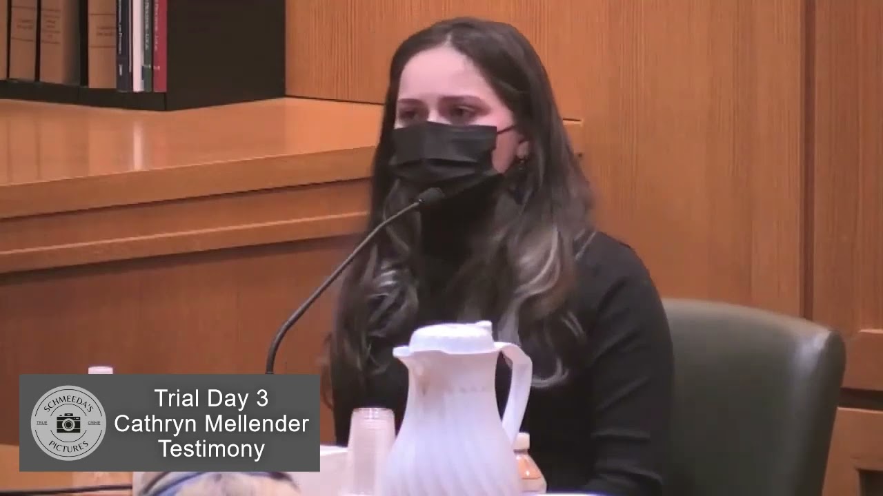 WI v. Chandler Halderson Trial Day 3- Cathryn Mellender - YouTube