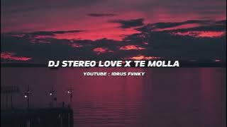 DJ STEREO LOVE X TE MOLLA MASHUP 2024 BOOTLEG TERBARU VIRAL TIKTOK IDRUS FVNKY