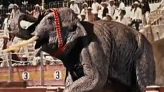 The Valley Of Gwangi 1969 - Elephant Screen Time