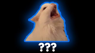 Cat Meme Sound Variations | Thurston Waffles Meme