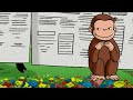 Kühen Fernhalten | Coco der Neugierige | Cartoons für Kinder | WildBrain Deutsch