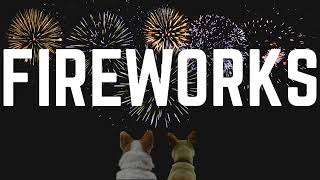 Fireworks Desensitization 2026 | Overcoming fear of Fireworks