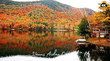 Autumn Relaxing Music – Peaceful Fall Ambience with Beautiful Red Maple Trees