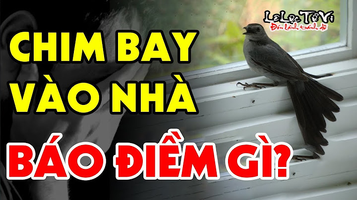 Chim bay vào nhà là lộc lá gì năm 2024