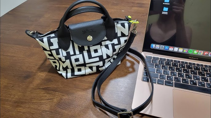 Longchamp LGP Le Pliage Clutch—Best Bang for your Buck — Collab