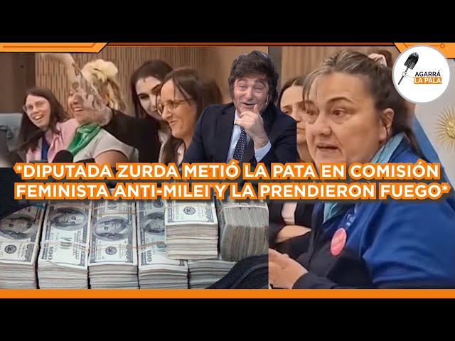 DIPUTADA DE IZQUIERDA METIÓ LA PATA EN COMISIÓN FEMINISTA ANTI-MILEI Y LA PRENDIERON FUEGO EN VIVO