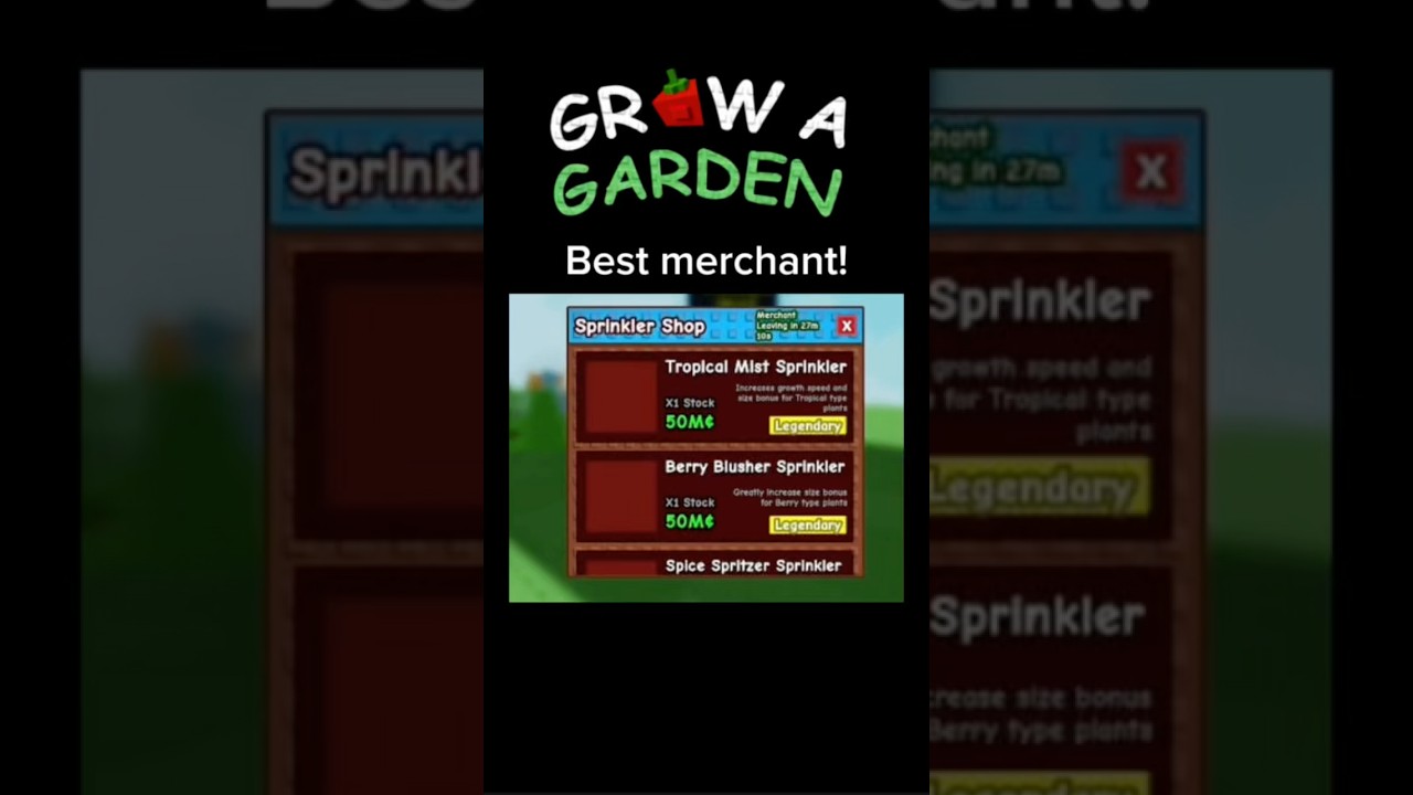 Best traveling merchant?! 🛍️ 