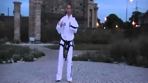 Stuart Dutton Saju Jirugi