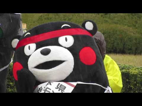雪の中応援するくまモン