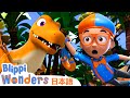 ペットのきょうりゅう | ブリッピーワンダーズ | 子供向け動画 | 人気アニメ