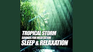 Tropical Storm Sounds for Meditation, Sleep & Relaxation screenshot 3