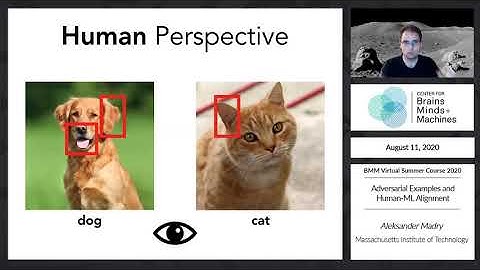Adversarial Examples and Human-ML Alignment
