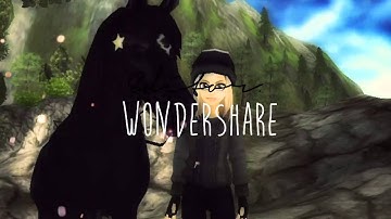 † |SSO - Lean On|  †