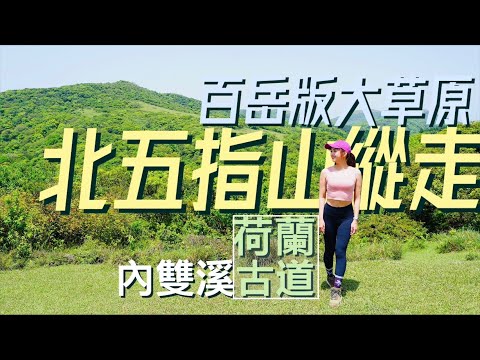 媲美百岳級大草原！電玩真實版美景！內雙溪古道 北五指山 荷蘭古道O型縱走好Chill！