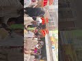 Shivpuri Zila Ki Physical Road Par Baarat Se Laga Bhari Jam | Aam Janta Pareshan