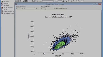 Sunflower Plots for Big Data