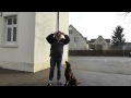 The only proper way to use a choke chain in loose-leash walking The only proper way to use a choke chain in loose-leash walking