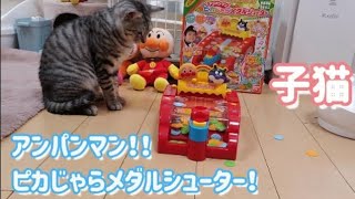 新発売 アンパンマン アニメ おもちゃ 子猫とピカじ?