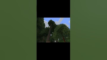 Did you know that Minecraft has a built in Cinematic Mode? #nomods #minecraft #cinematic #hacks