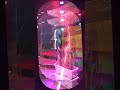 اجرای موزیک لری سفره خانه ایران زمین ۰۹۱۷۶۰۴۲۹۳۰ اجرای موزیک لری سفره خانه ایران زمین ۰۹۱۷۶۰۴۲۹۳۰