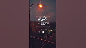 القارئ:أحمد النفيس